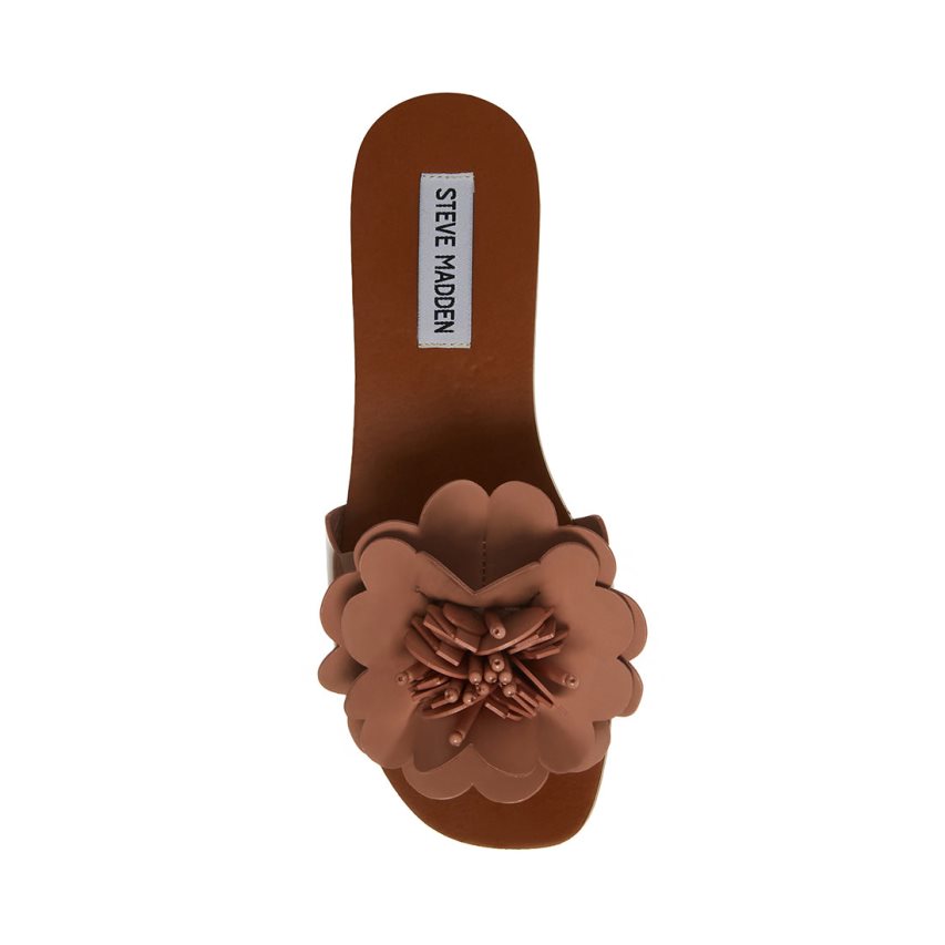 Sandalias Planas Steve Madden Chelsea Mujer Marrones | ES NJES49